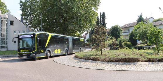 Das Naldo Gebiet im Überblick