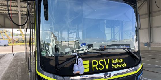 Firmenlauf 2025 - die RSV macht mit